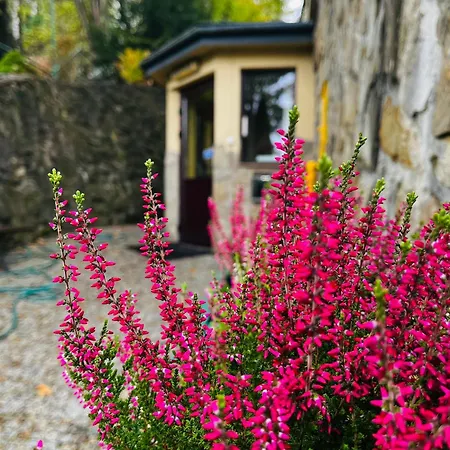 Bajka Nocleg ze śniadaniem *